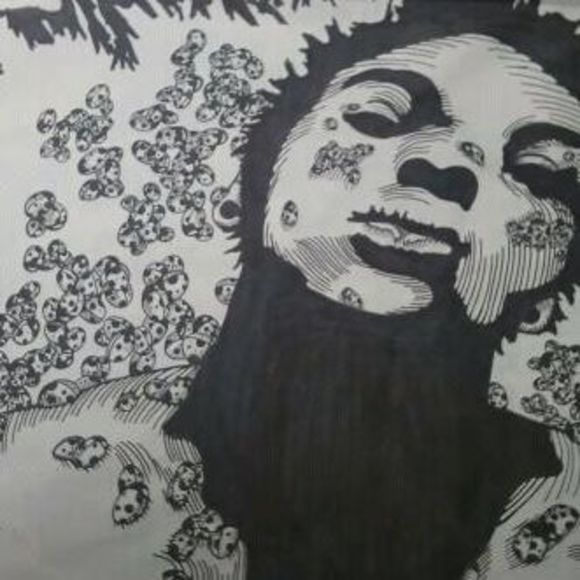 Meet your Posher, Ronnie - Picture 1 of 1